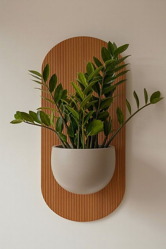 Modern Wall Shelves for Unique Home Decor & Ambiance