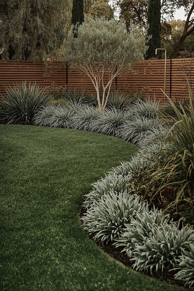 Natural Backyard Retreat: Modern Garden & Landscape Planting
