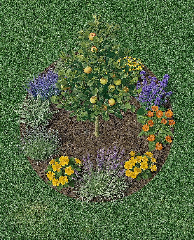 Thriving Apple Orchard Garden: Essential Companion Planting Guide