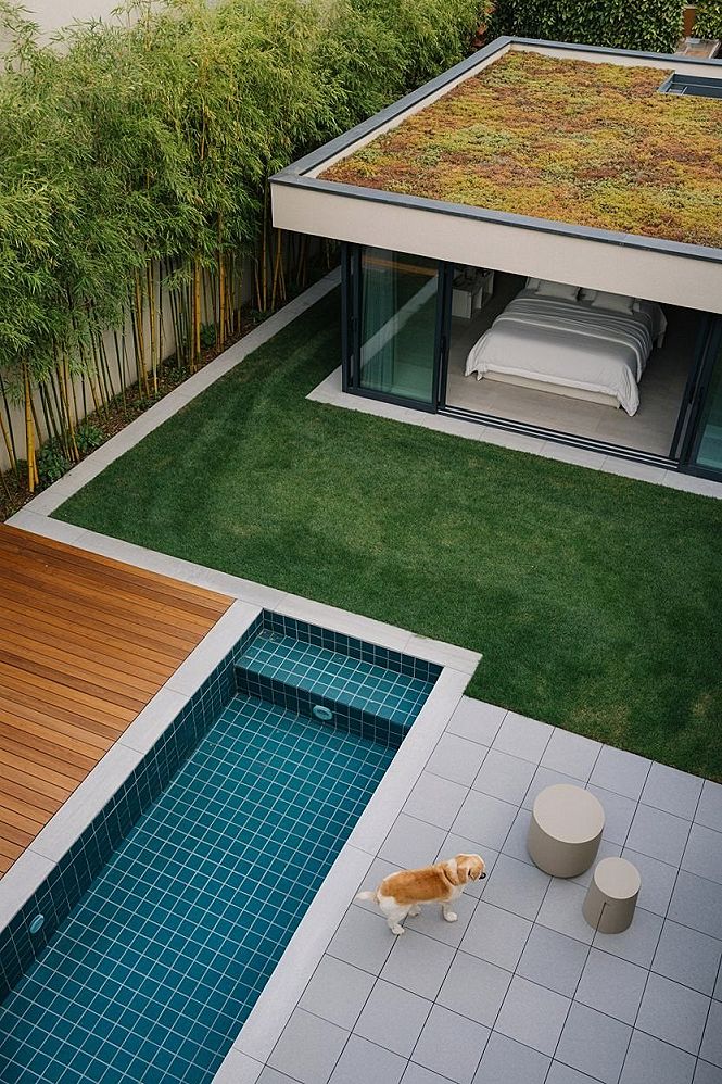 Minimalist Backyard Design: Small Pool & Modern Garden