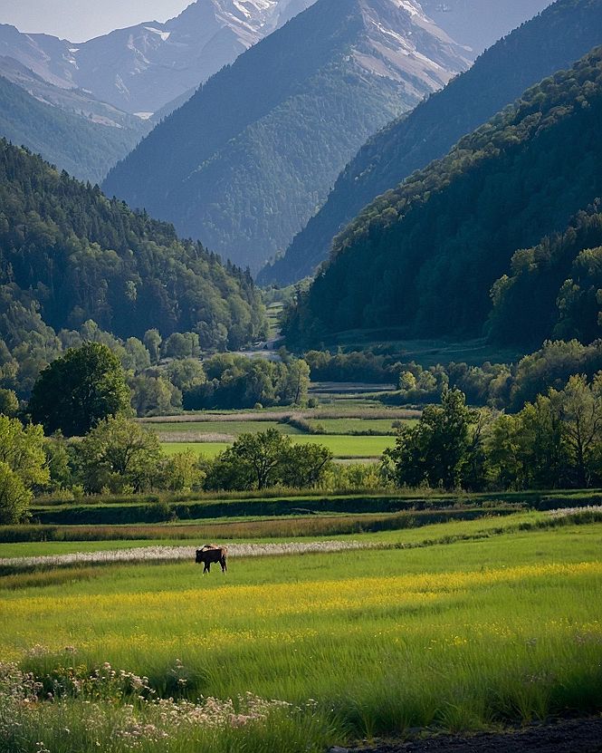 Bringing Majestic Mountain Valley Murals Into Your Home