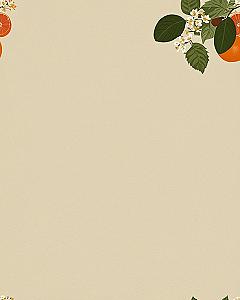Fresh Citrus Branch Phone Backgrounds