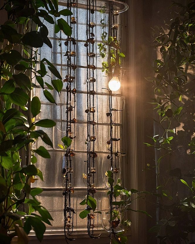 Hanging Propagation Stations and Plant Displays in Window Nooks