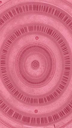 How Circular Patterns Boost Focus in Manifestation