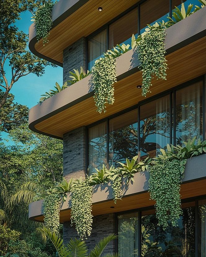 Tropical Elegance: Modern House Design Meets Nature
