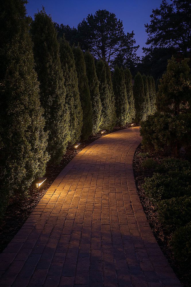 Elegant Evergreen Border Landscaping for Ultimate Privacy