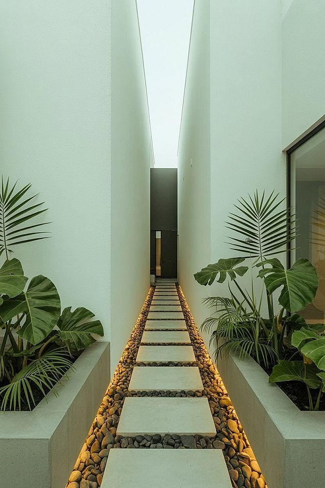 Modern Tropical Entrance Walkway: Contemporary Garden Design