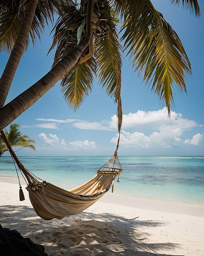 Selecting Relaxing Tropical Hammock Wallpapers