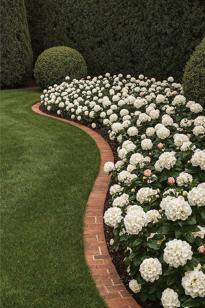 Dream Backyard Garden: Brick Edging & Lush Blooms
