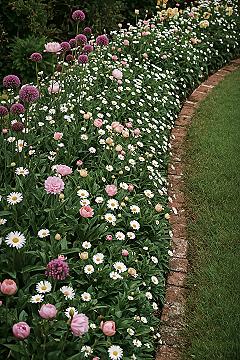 Spring Blooms: Top English Cottage Garden Front Yard Ideas