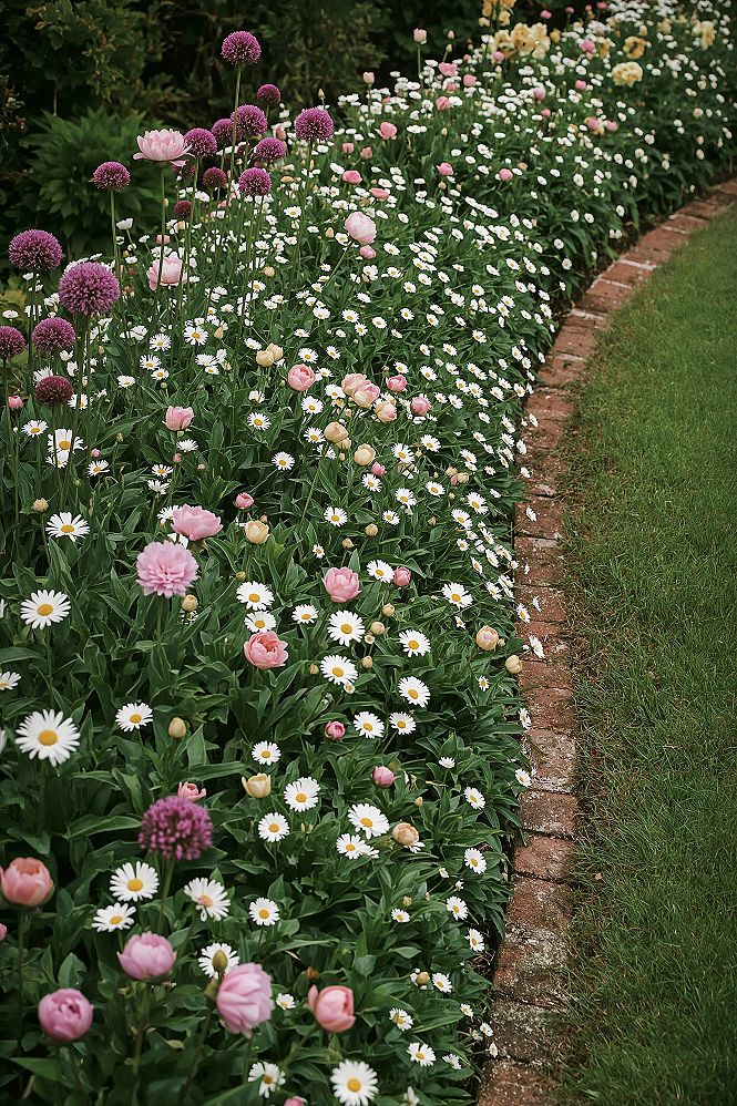 Spring Blooms: Top English Cottage Garden Front Yard Ideas