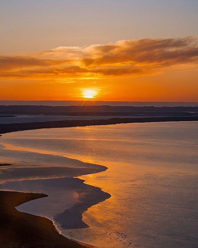 Setting Up Sunset Marigold Wallpaper for Mobile Devices