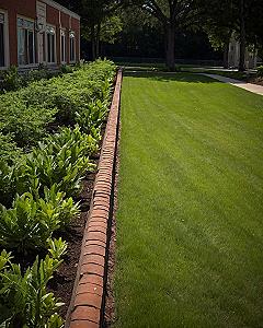 Building Clean Lawn Edges with Brick Borders