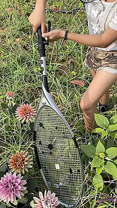 Keeping Garden Tools Clean And Protected