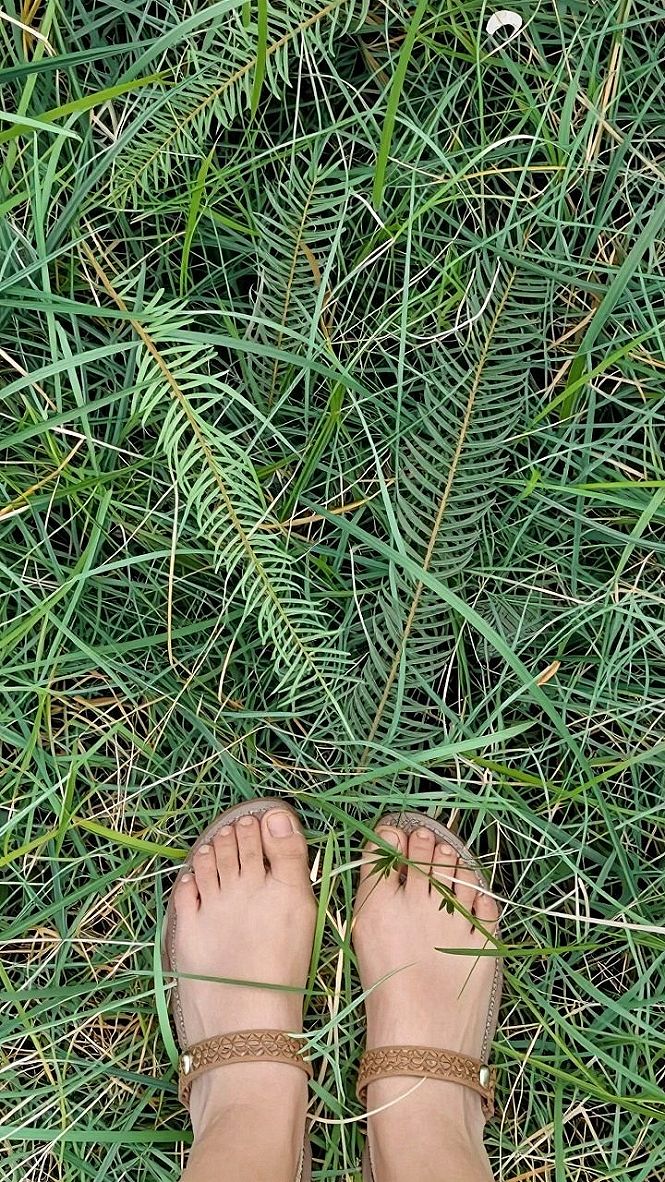 Styling Comfortable Footwear for Garden Walks
