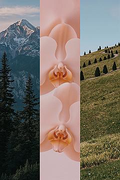 Artsy Nature Aesthetic: Realistic Wallpapers for Your Devices