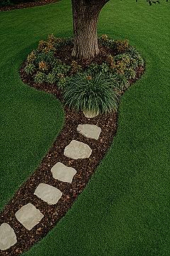 Inspiring Walk-Through Garden Design Around Your Mature Tree