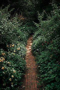 Casa Dei Sogni: Top Large Garden Trends to Level Up Your Yard