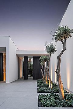 Luxurious Modern Front Yard Landscape Designs for Architecture