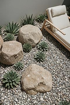 Modern Succulent Rock Garden: Stylish Small Backyard Landscaping