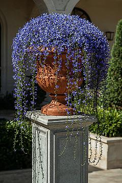 Stunning Cascading Flower Pot Ideas for Outdoor Spaces