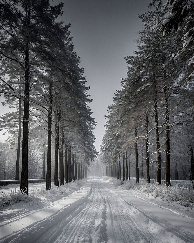 Embracing Snowy Winter Roads for Seasonal Photography