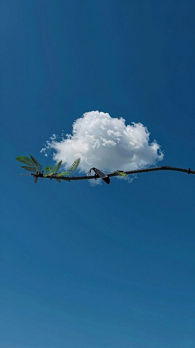 Adding Sky and Cloud Elements to Your Clover Wallpaper