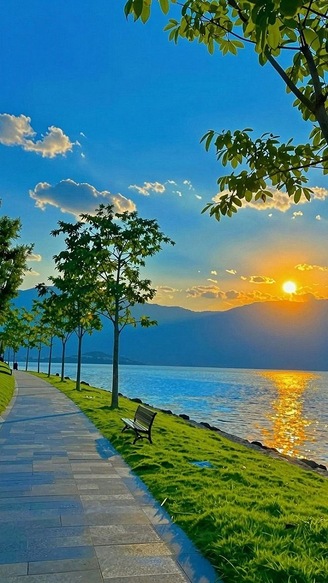 Relaxing Seawall Promenades With Grassy Borders
