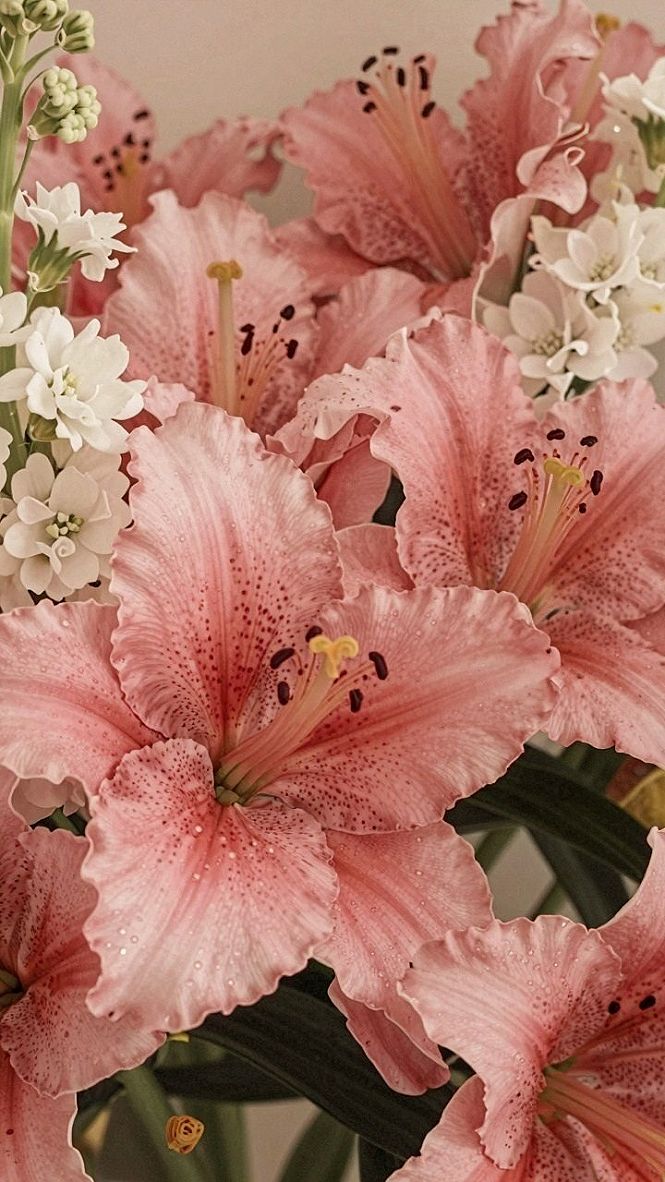 Pairing Fresh Summer Florals With Vintage Red Gingham Decor