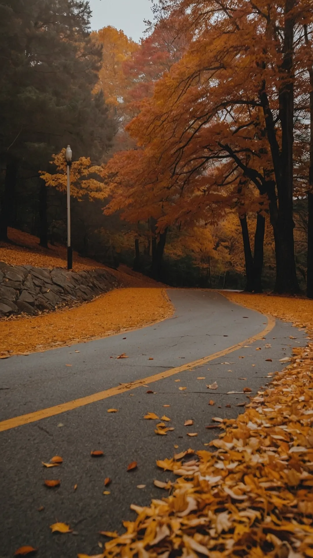 Fall Foliage Road Trip!: