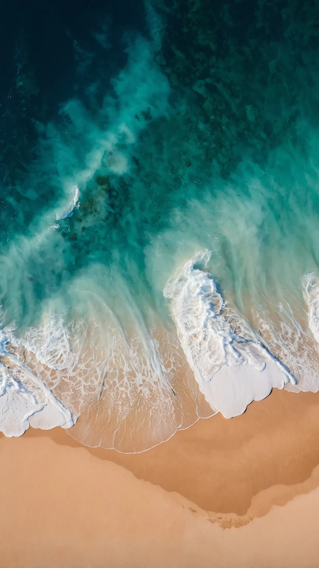 Pixel Paradise