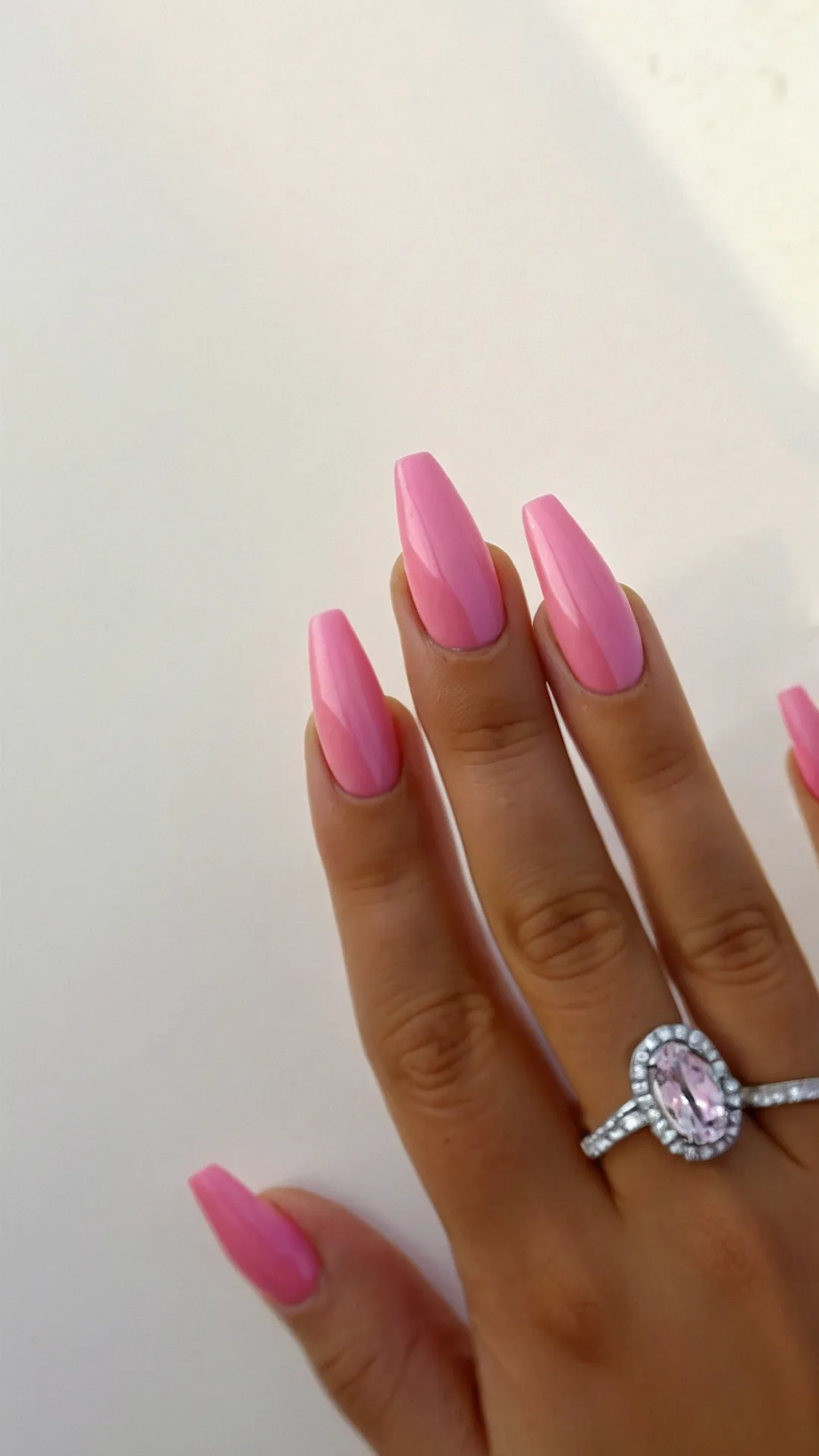 Rose Claws Reign