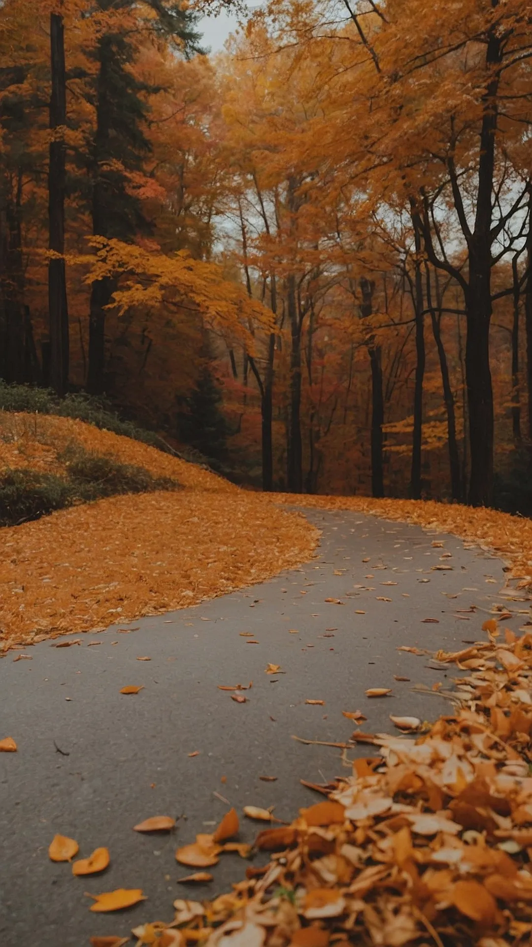 Autumn Road Trip -  Fall Aesthetic Wallpaper: