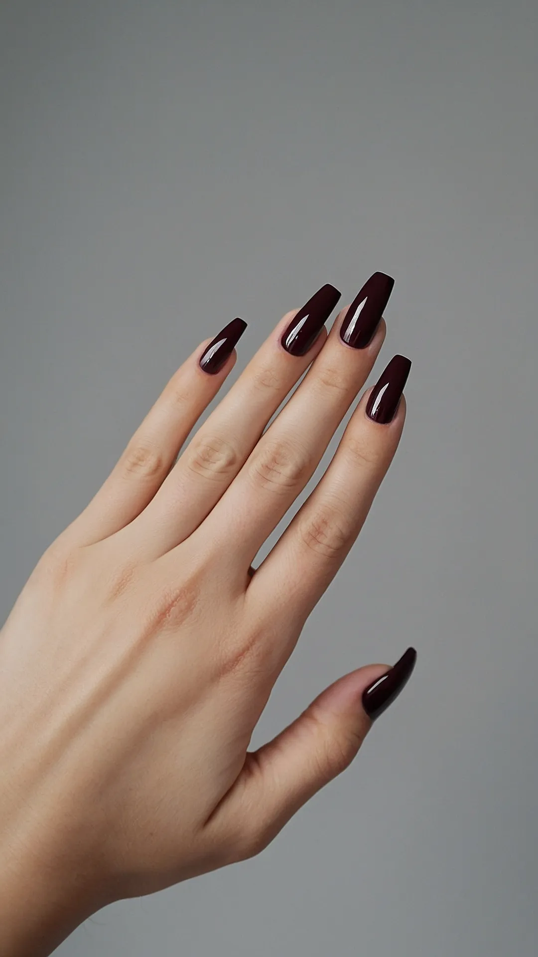 Burgundy Majesty: