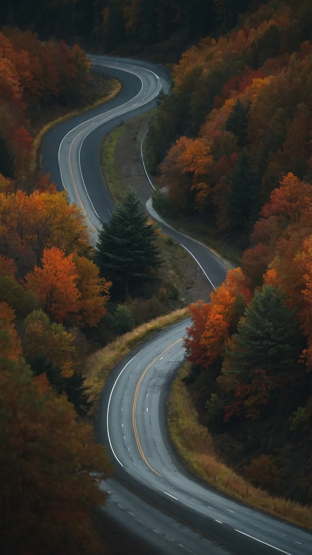 The Road Less Traveled (But Maybe More Colorful):