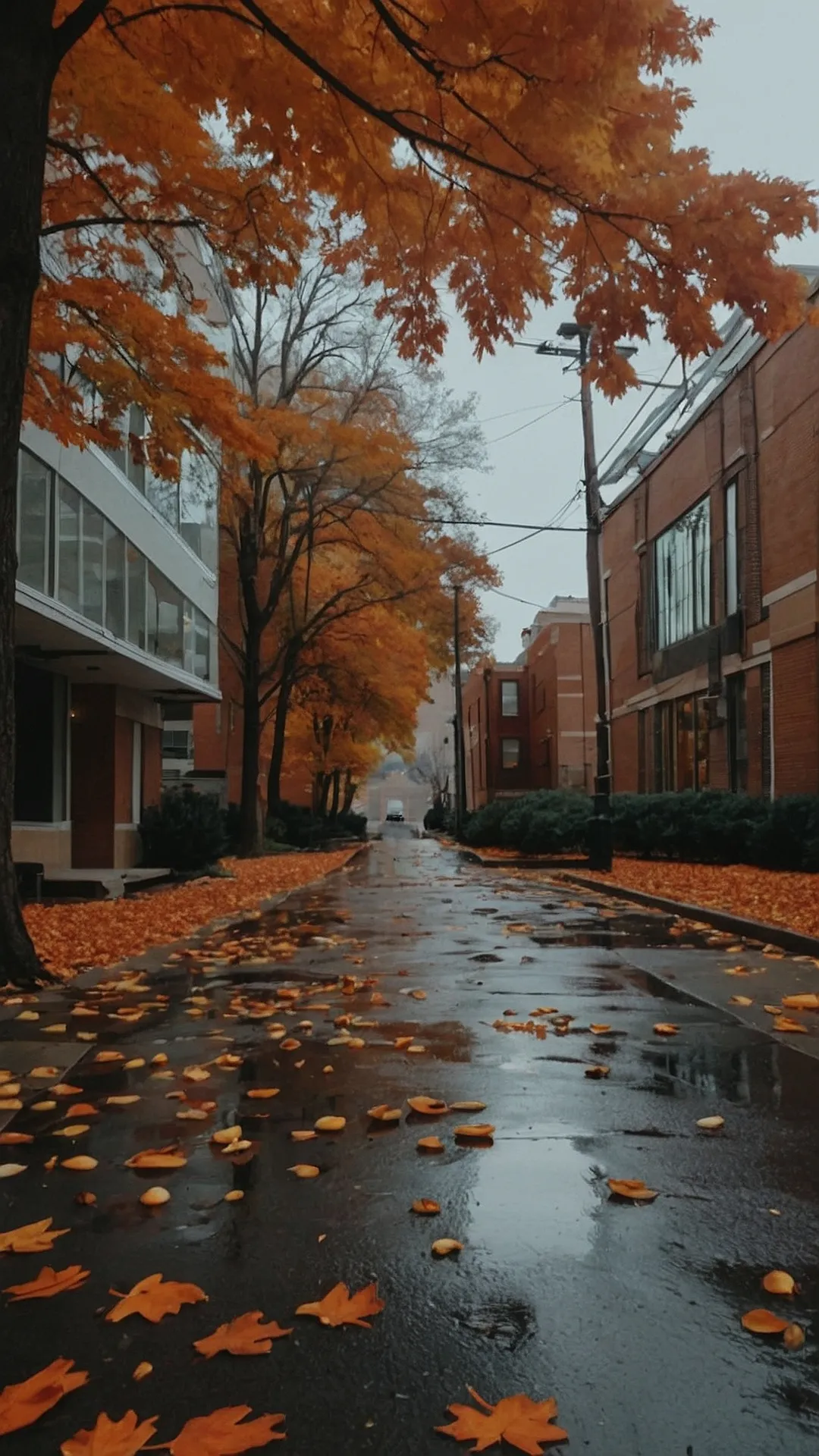 Rainy Day Fall Feels: