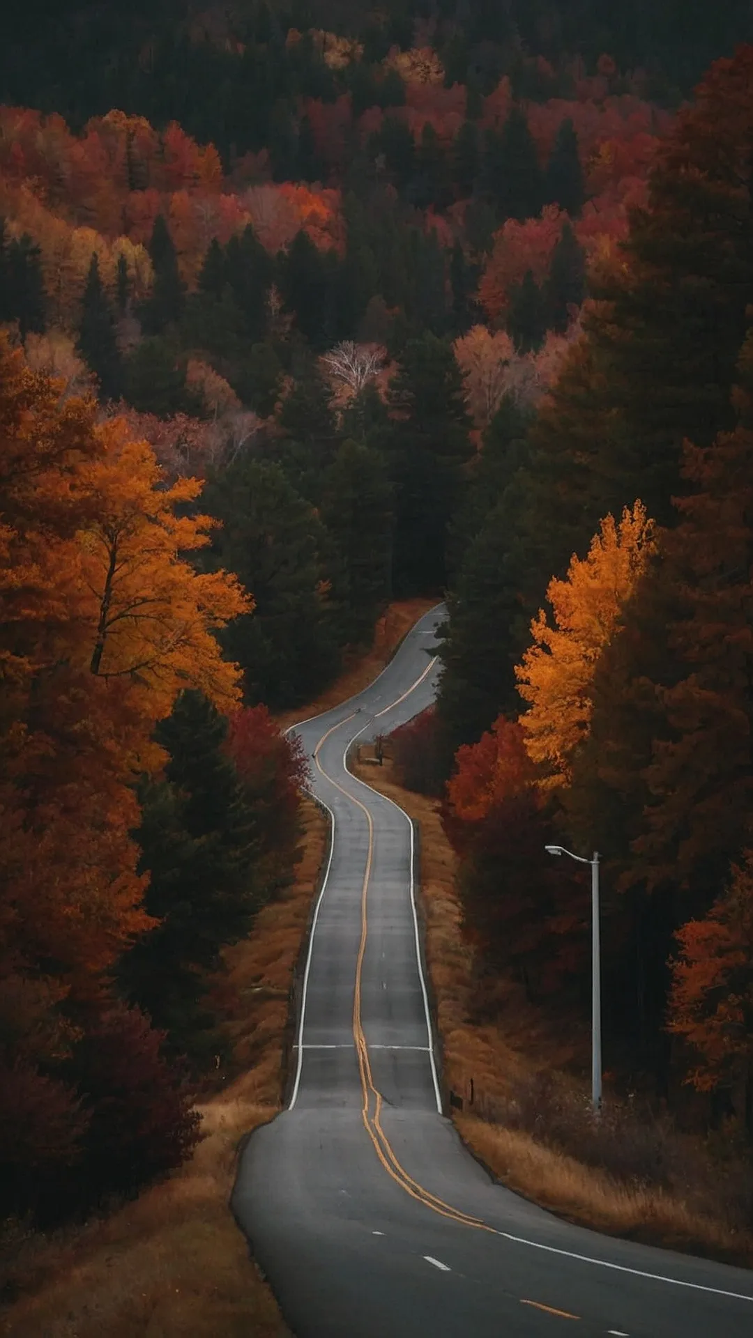 Fall Foliage Road Trip: