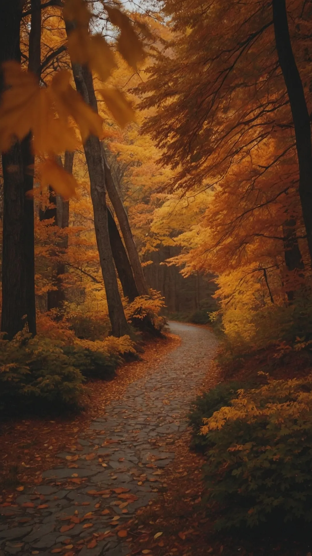 Fall Foliage and a Stone Path to Somewhere Awesome: