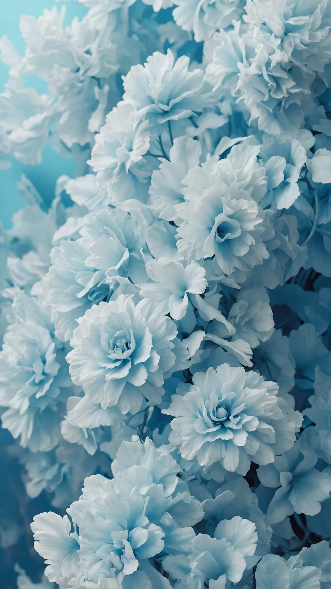 Cotton Dream Hues