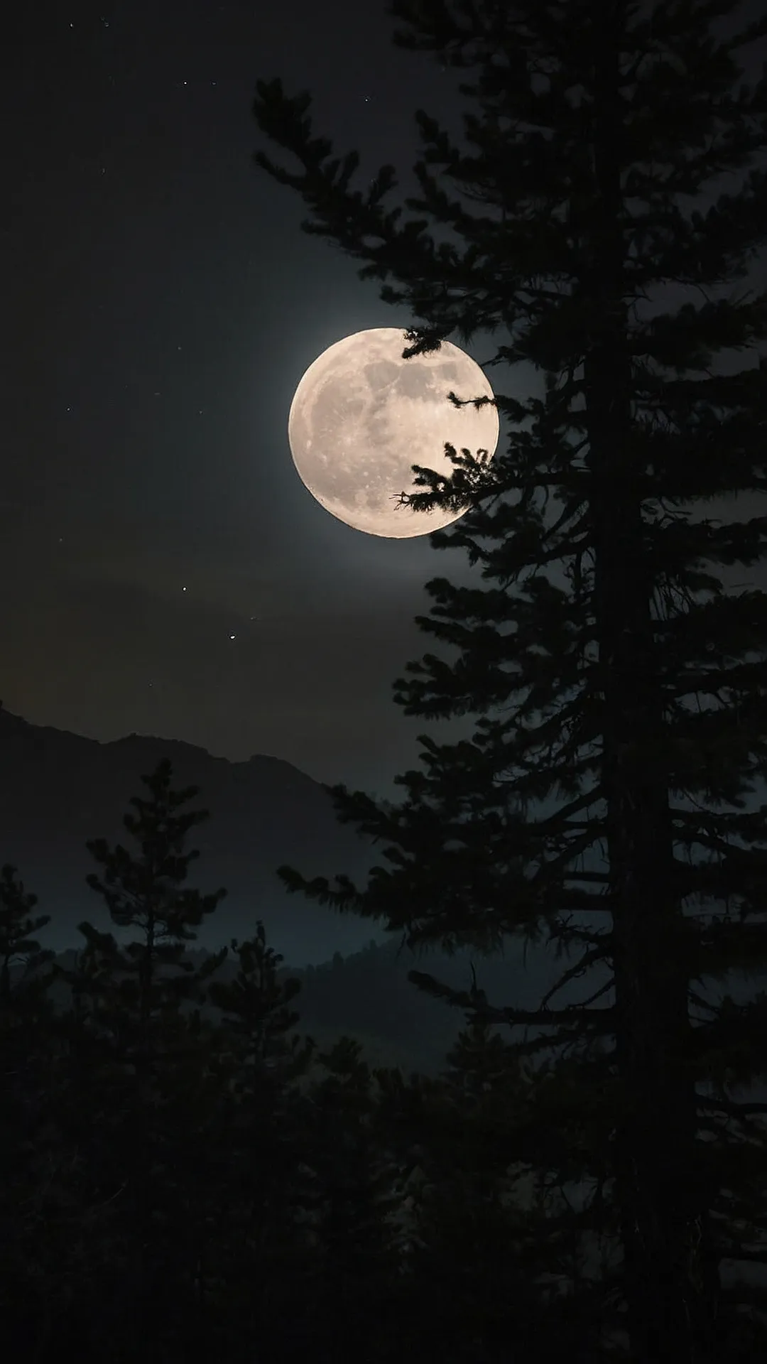 Snowy Peaks' Starlight