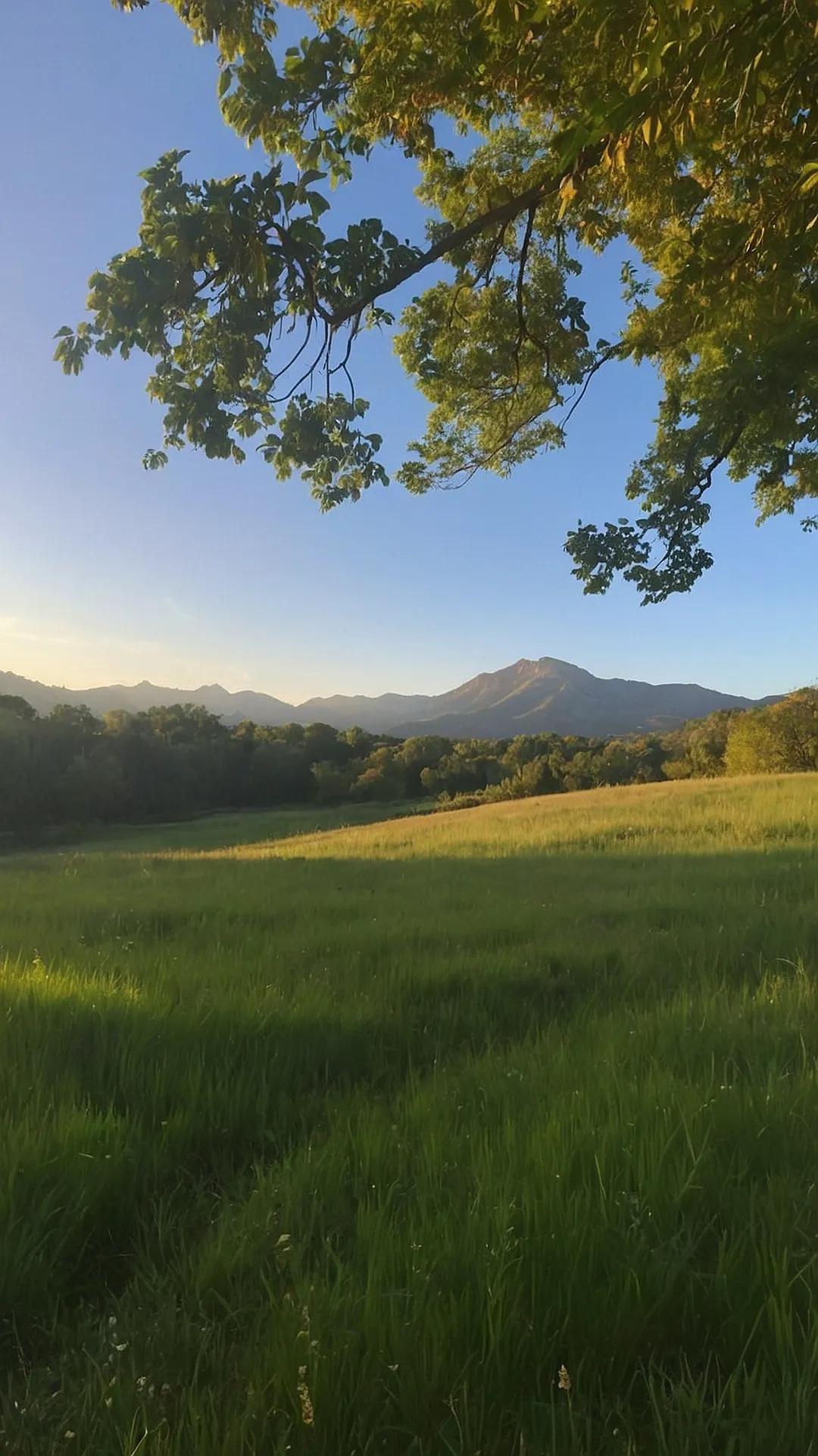 Majestic Mountain Sunset