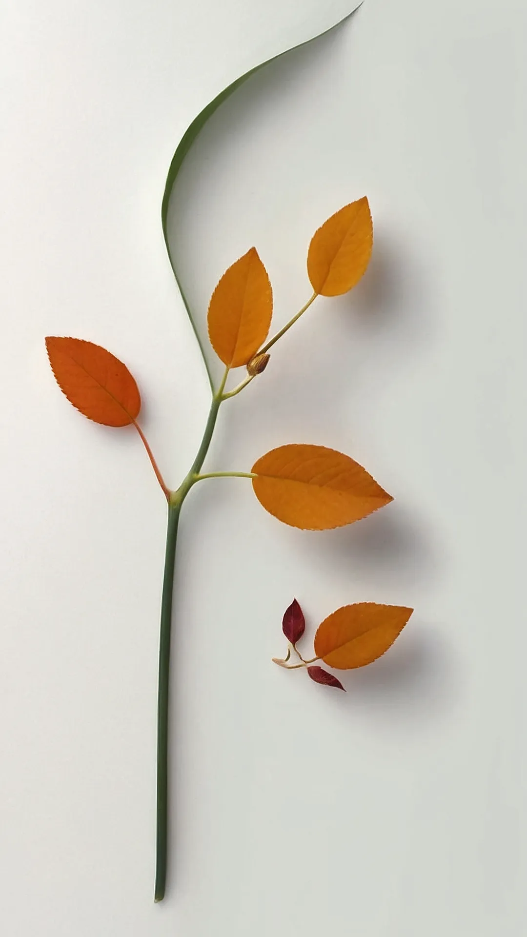 Autumnal Twirl