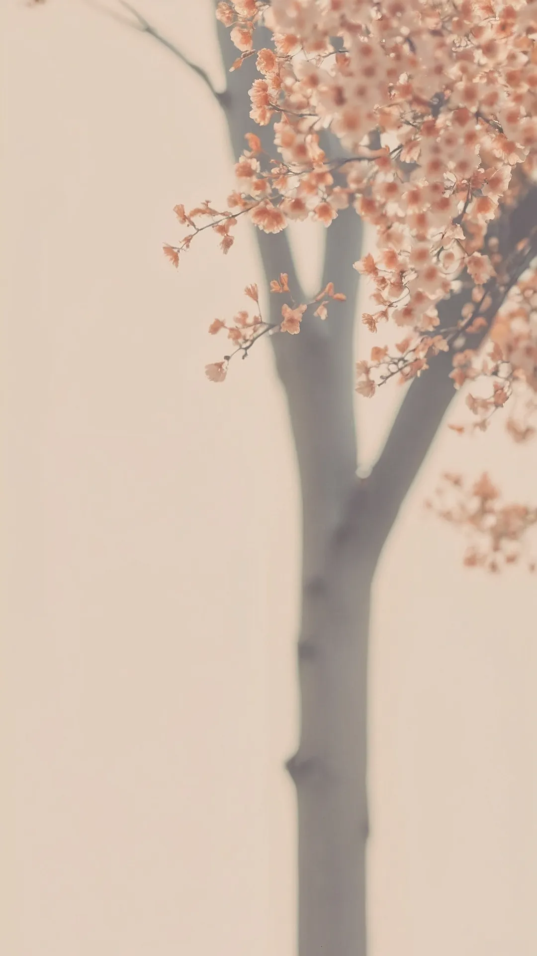 Botanical Bloom