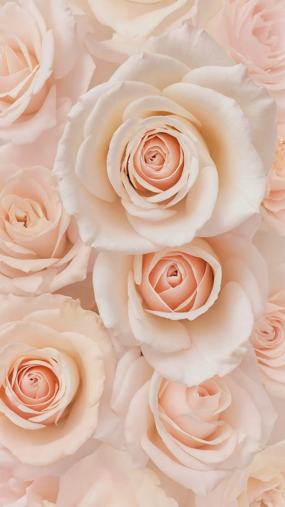 Floral Screen Art