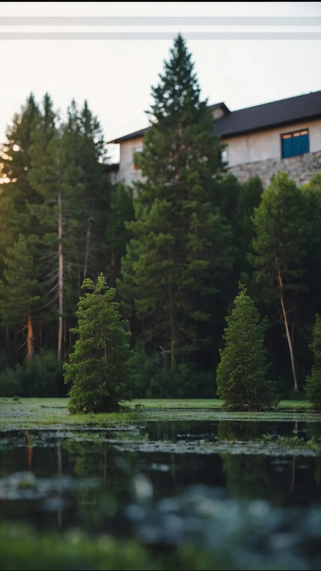 Pond Reflections: