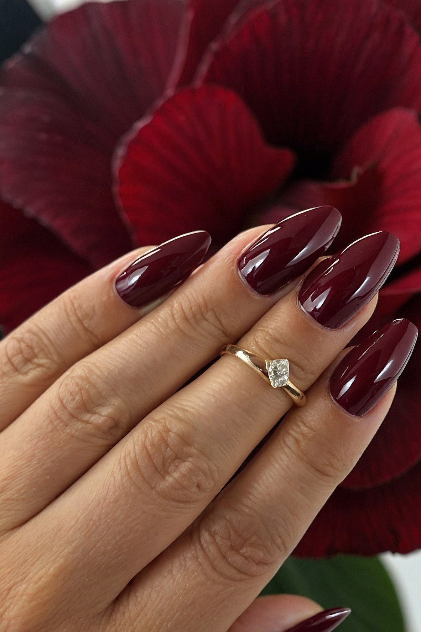 Deep crimson petals framing glossy, almond-shaped nails