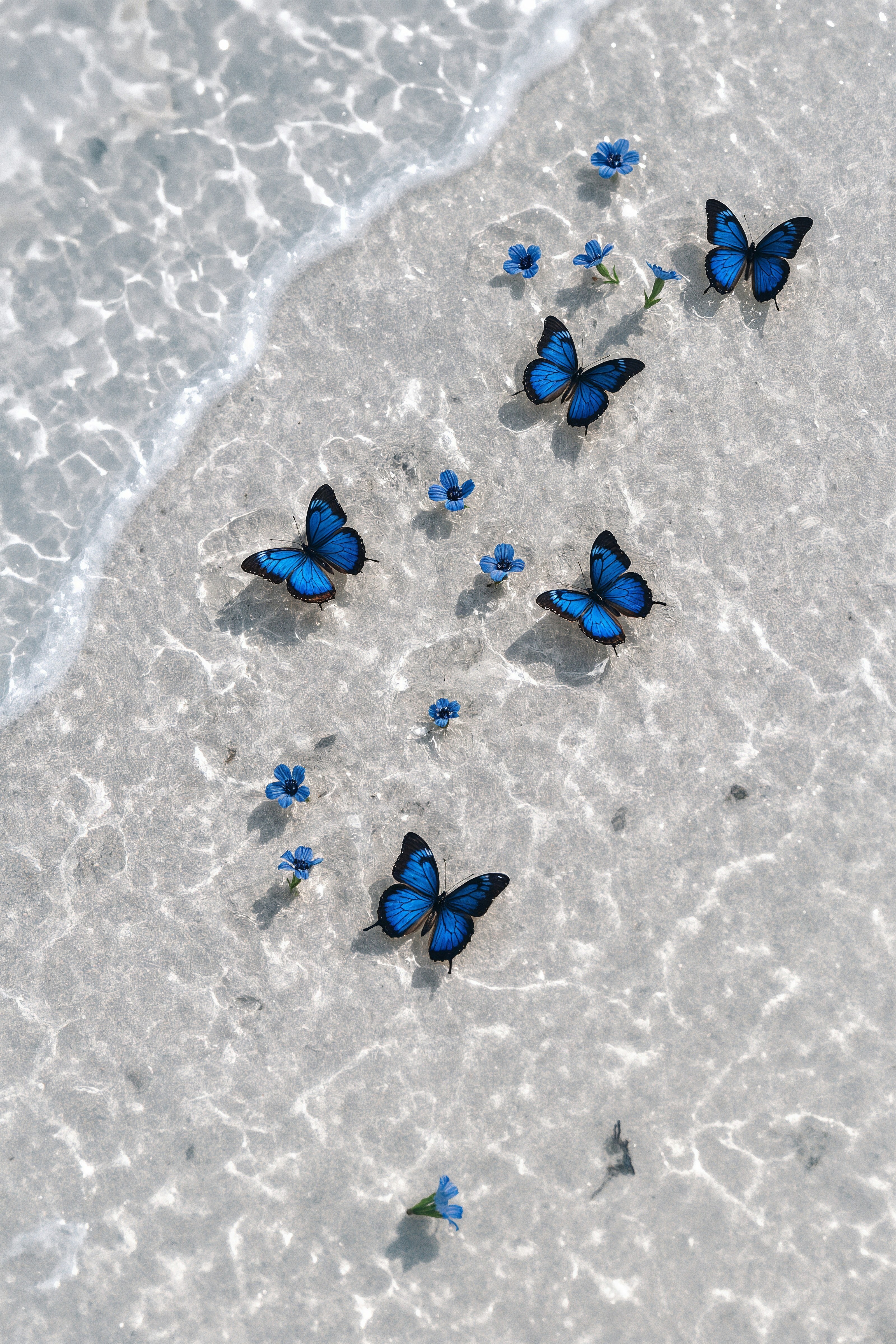 Blue Butterflies on a Sandy Shoreline