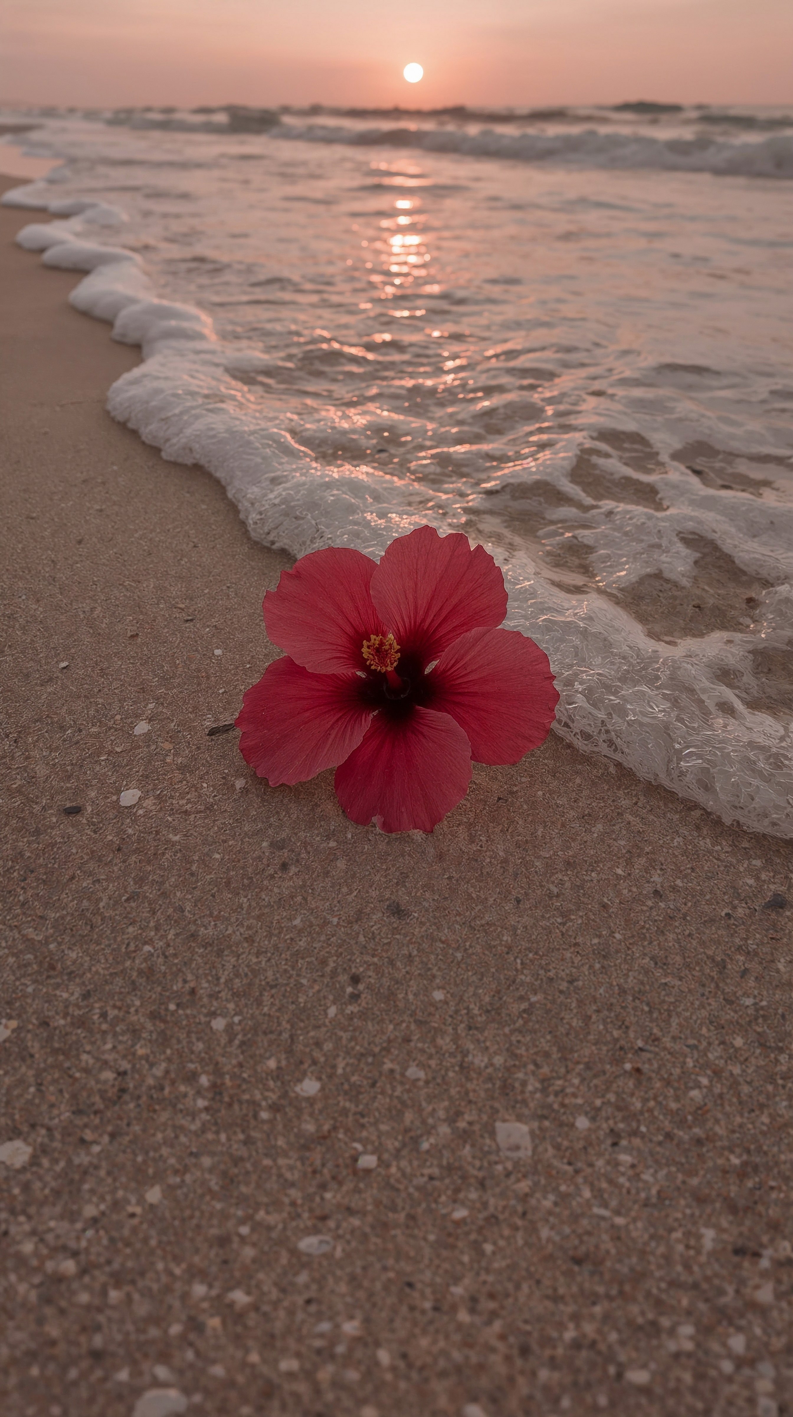 Single Hibiscus on Sand with Gentle Waves