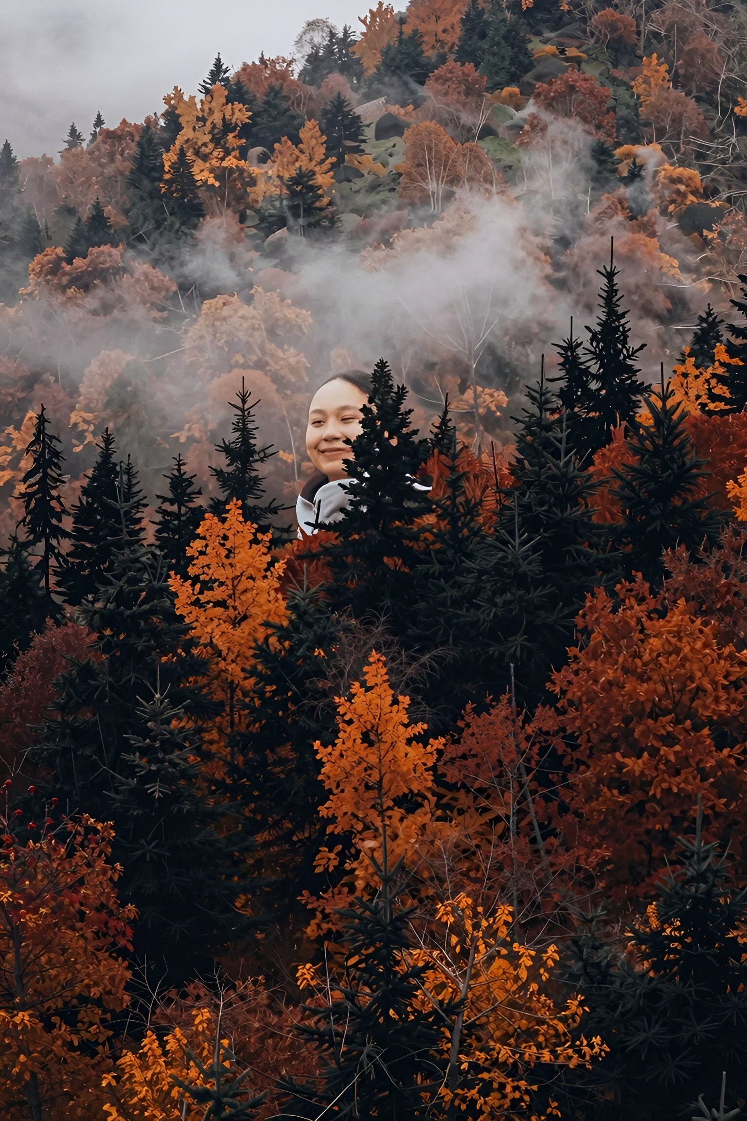 Choosing Soft Foggy Forest Wallpapers for Phone Screens