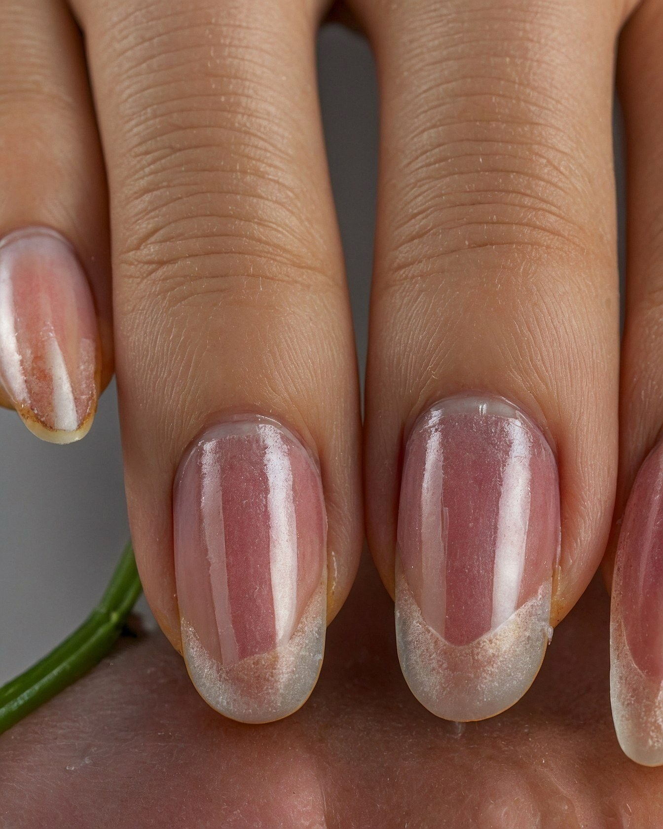 Subtle French tips with a pearlescent shimmer